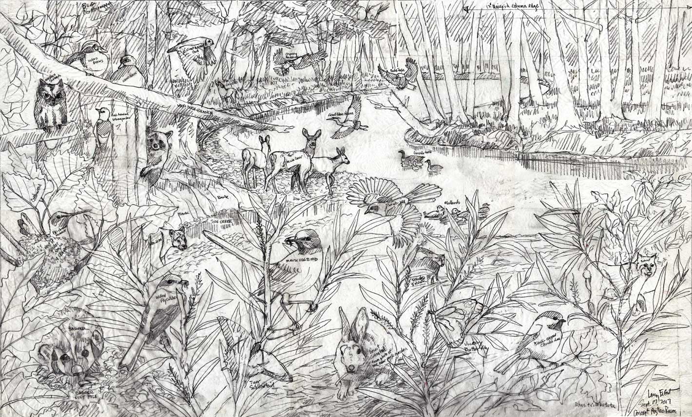 1420x856 Riparian Ecosystem Painting For Aztec Ruins National Monument - Aztec Sketches