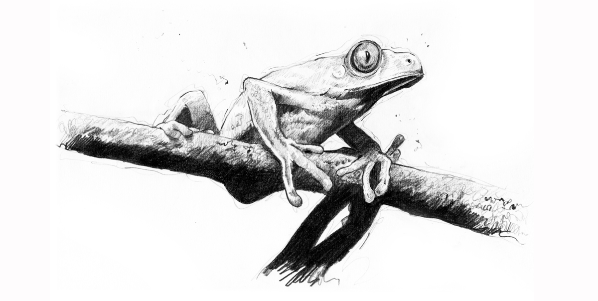 1200x604 Simon Howden - B Sketch