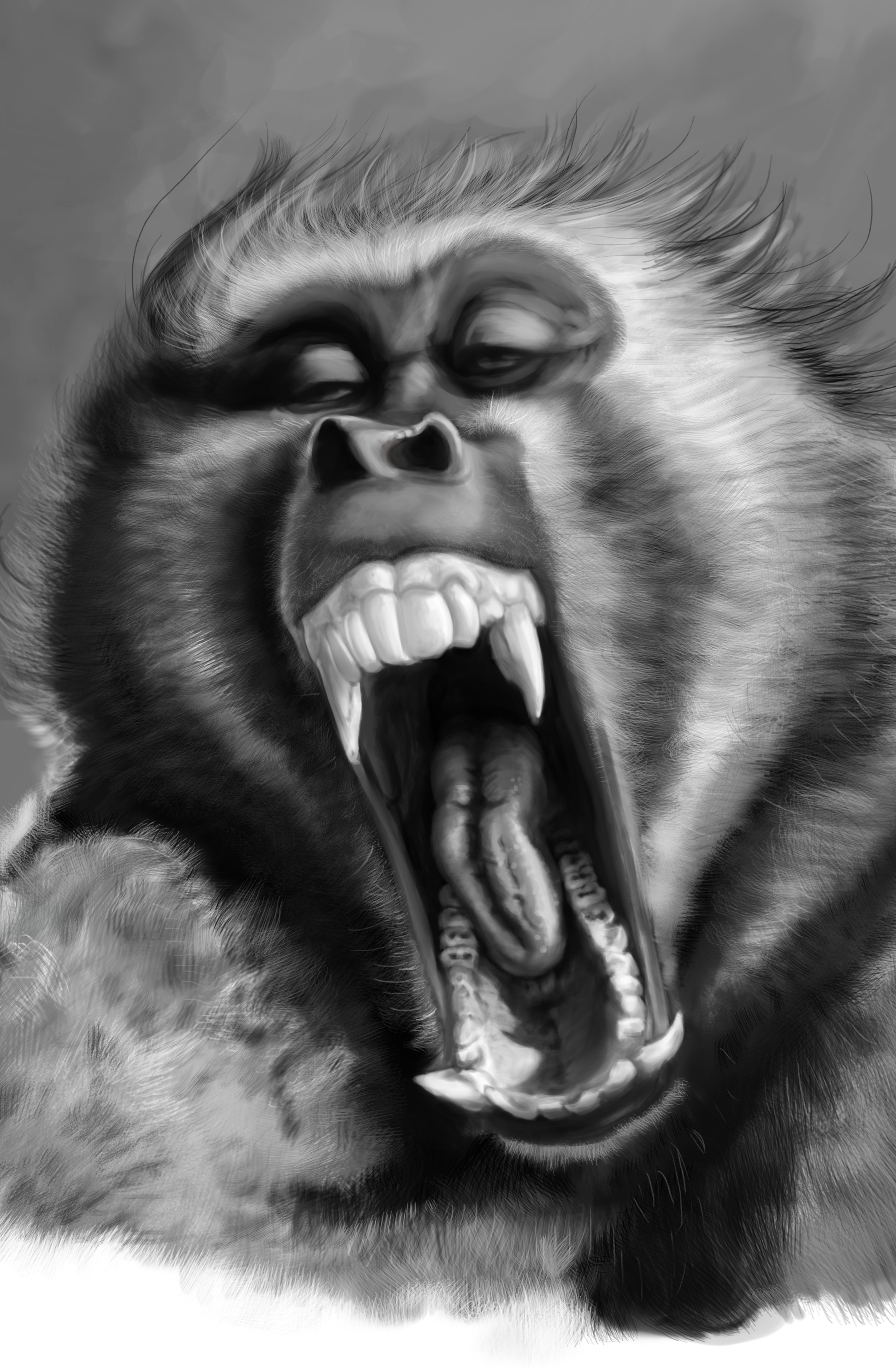 1944x2967 Digital Painting Baboon Dammitfranky - Baboon Sketch