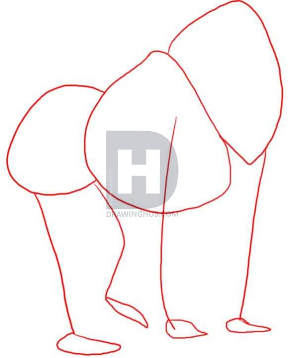 582x720 How To Draw A Baboon, Step By Step, Drawing Guide, By Darkonator - Baboon Sketch