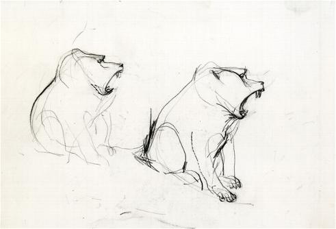 491x334 Science - Baboon Sketch