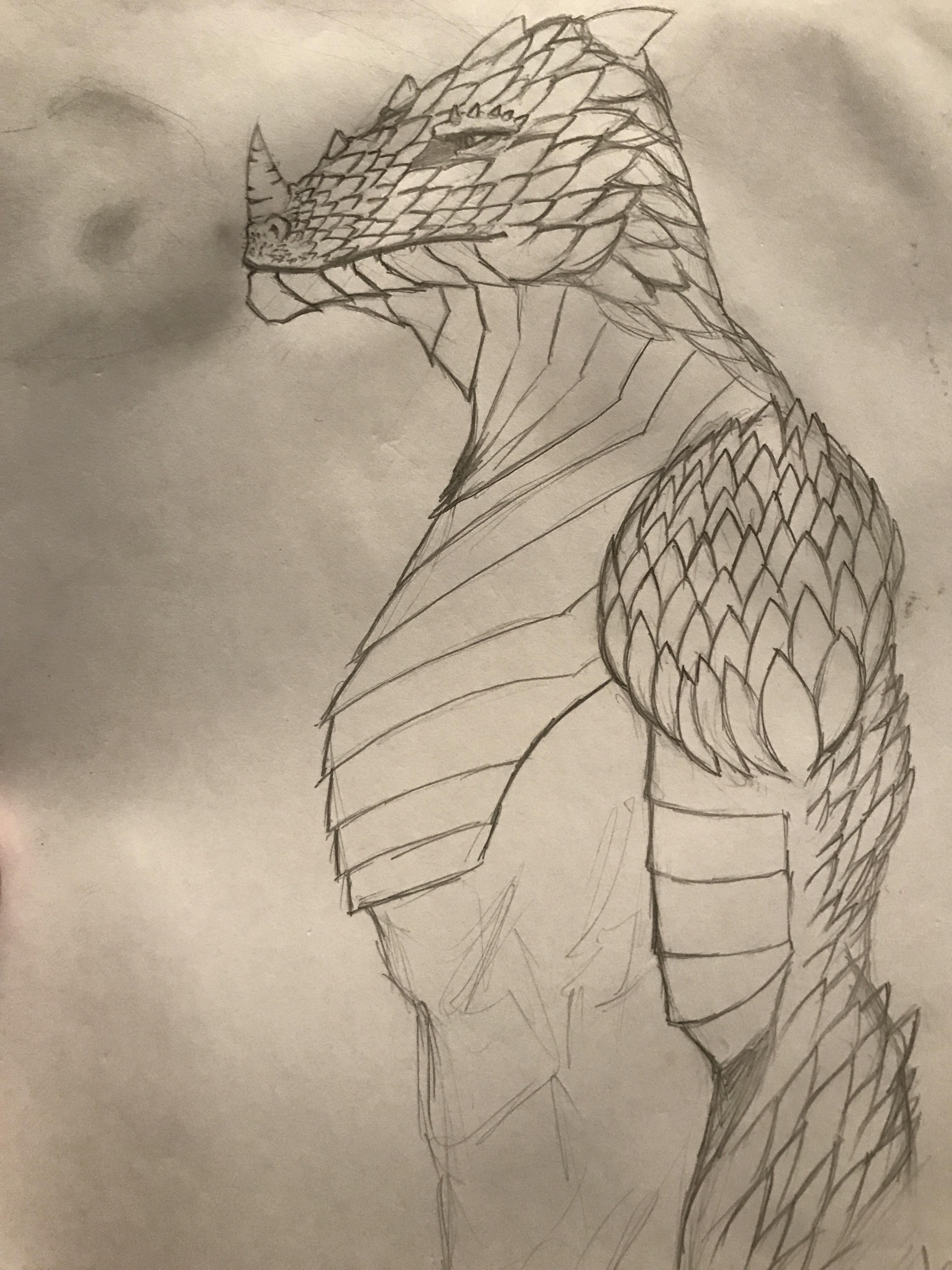 3024x4032 This Is Babushka, My White Dragonborn Cleric. Loyal To Bahamut The - Babushka Sketch
