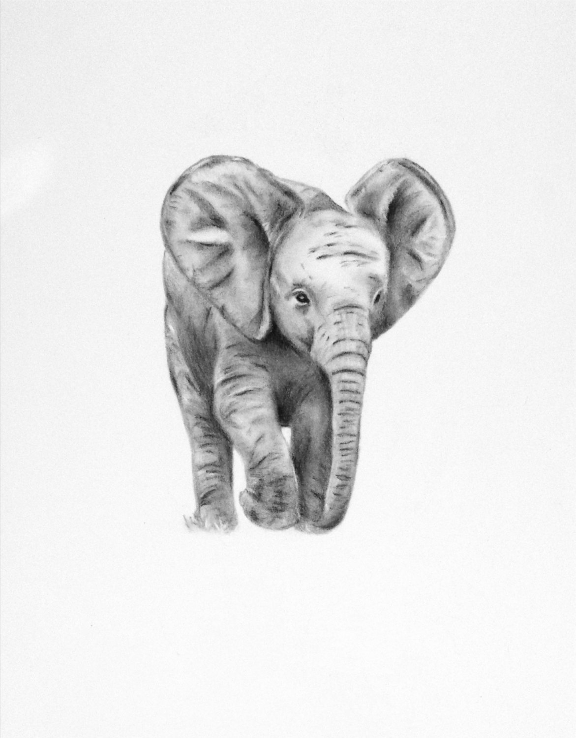 1171x1500 Drawn Baby Animal Baby Elephant - Baby Animal Sketches