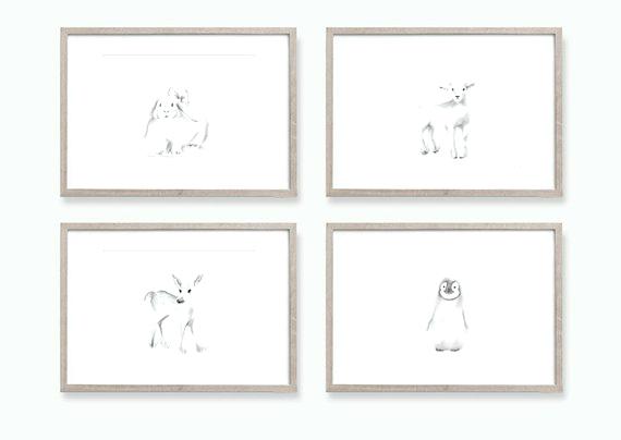 570x404 Baby Animal Art Ruraluniversity - Baby Animal Sketches
