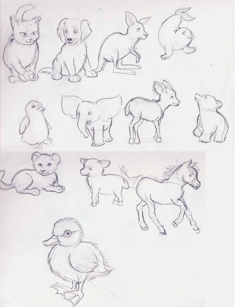 800x1043 Sketches Of Baby Animals - Baby Animal Sketches