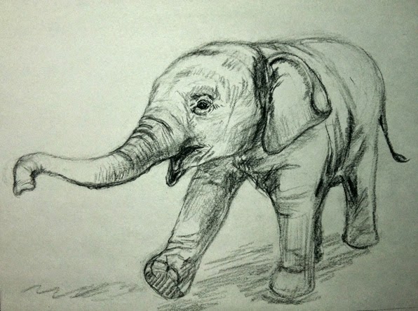 Baby Animal Sketches at PaintingValley.com | Explore collection of Baby ...