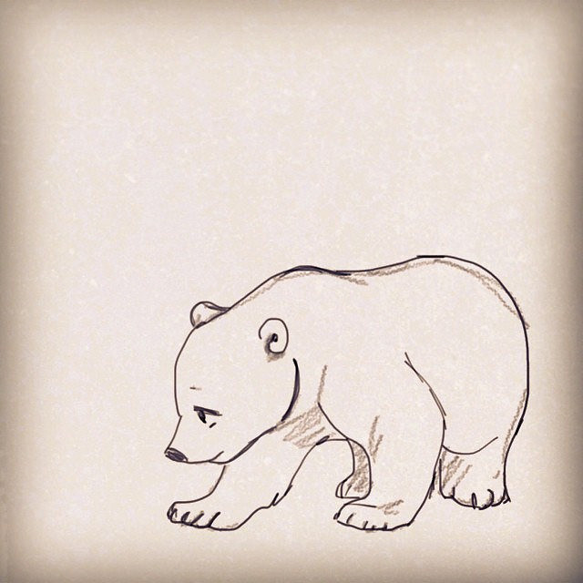 640x640 Bashful Baby Bear - Baby Bear Sketch