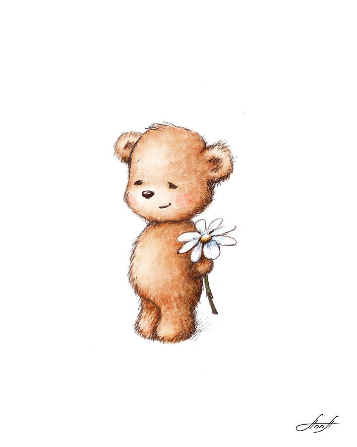 720x900 Drawing Of Teddy Bear With Daisy Digital Art By Anna Abramska - Baby Bear Sketch