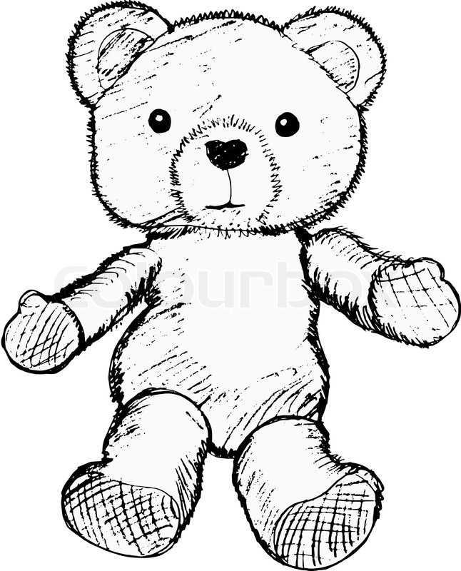 646x800 Hand Drawn, Vector, Sketch Illustration Of Teddy Bear Stock - Baby Bear Sketch