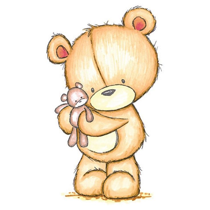 736x736 Pin By Cheryl Lynn Kiebler On Teddy Bear - Baby Bear Sketch