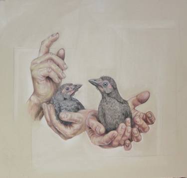 375x356 Baby Bird Drawings For Sale Saatchi Art - Baby Bird Sketch