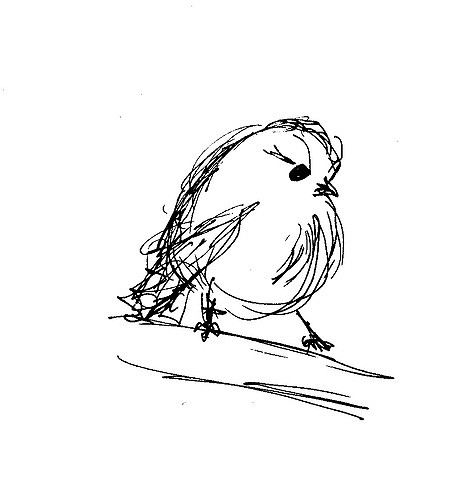 476x500 Baby Bird Sketch Quick Sketch With Micron Pen Christinepdx - Baby Bird Sketch
