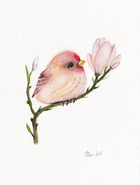 570x750 Baby Bird Original Watercolor Painting 5x7 By Onewildkingdom - Baby Bird Sketch