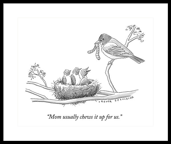 600x505 Three Baby Birds In A Nest Talk To A Grown Bird Framed Print By - Baby Bird Sketch