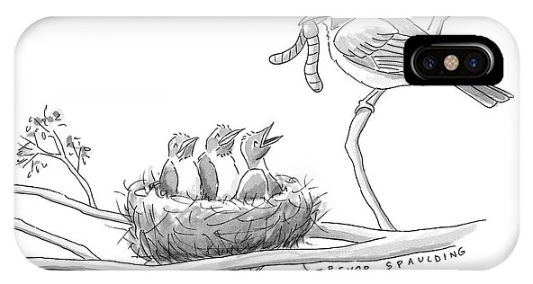 592x316 Three Baby Birds In A Nest Talk To A Grown Bird Iphone X Xs Case - Baby Bird Sketch