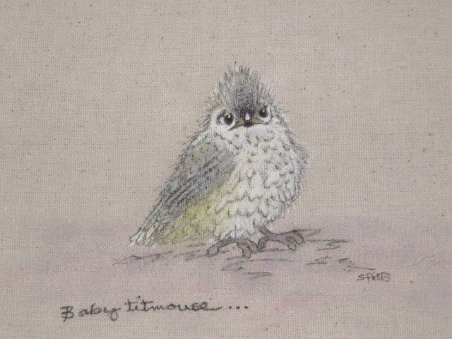 640x480 Bird Sketches Natural Nest Studio Blog - Baby Bird Sketch