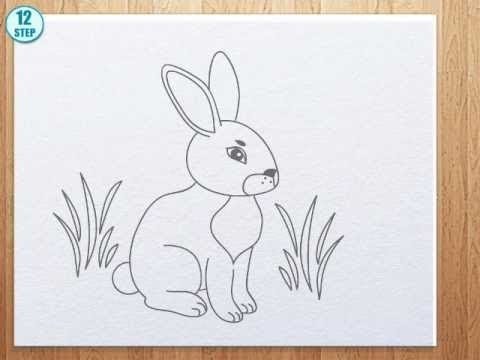 480x360 How To Draw Bunny - Baby Bunny Sketch