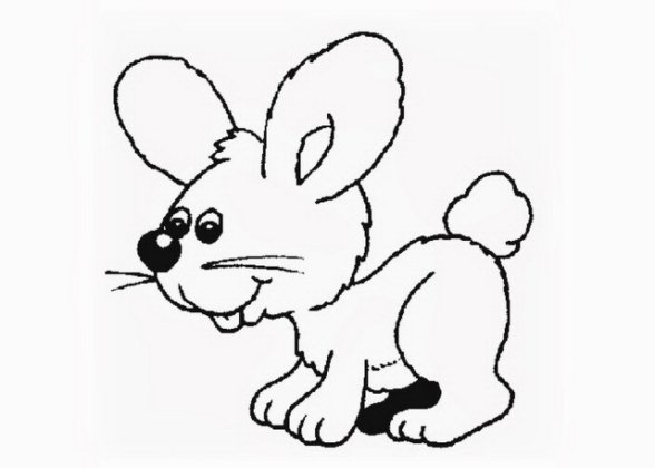 588x420 Tag For Cute Baby Bunny Coloring Pages Cute Baby Bunny Coloring - Baby Bunny Sketch