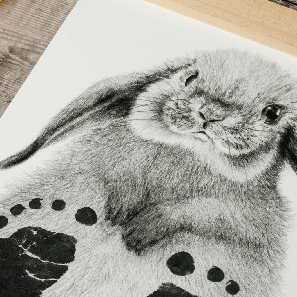 1024x1024 Personalised Baby Rabbit Footprint Kit By Lucy Coggle - Baby Bunny Sketch