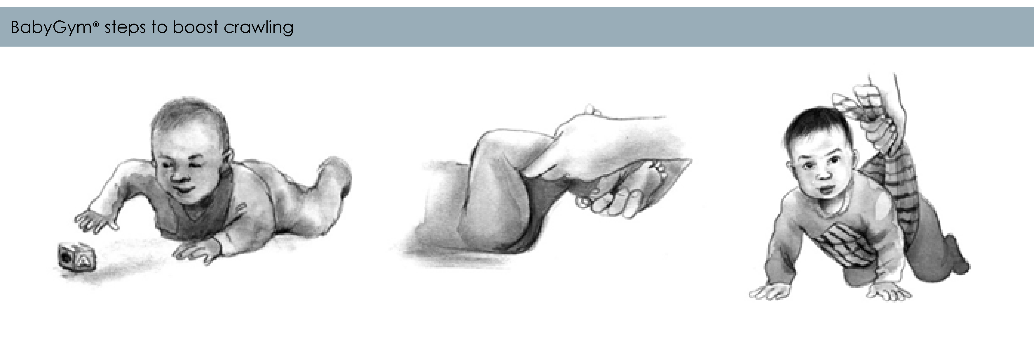 3543x1181 Will Any Crawling Style Do Mind Moves Institute - Baby Crawling Sketch