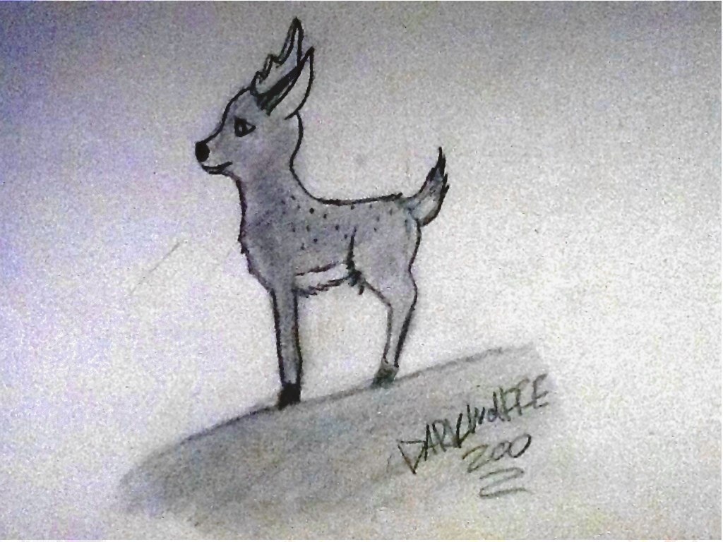 1024x768 Baby Deer Sketch By Darkwolffe200 - Baby Deer Sketch