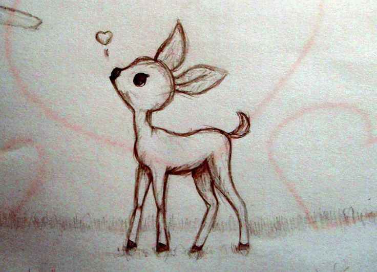 736x531 Baby Deer Drawing - Baby Deer Sketch