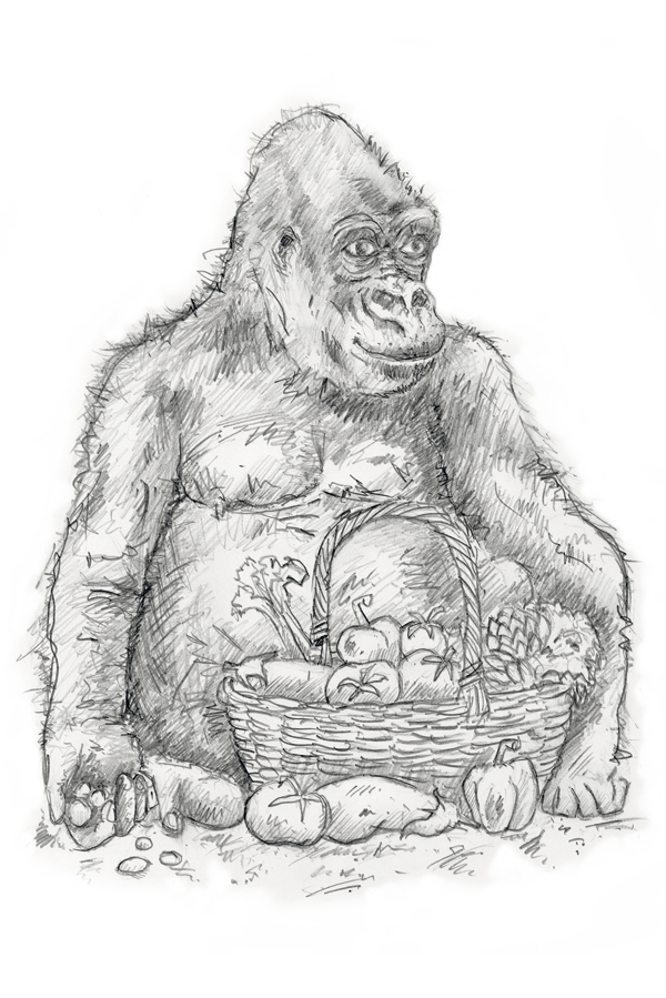 600x899 Branding A New Restaurant - Baby Doll Sketch