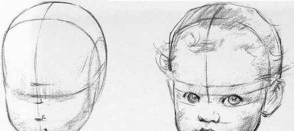 585x261 Plate Proportions Of The Baby Headsecond And Third Years - Baby Doll Sketch