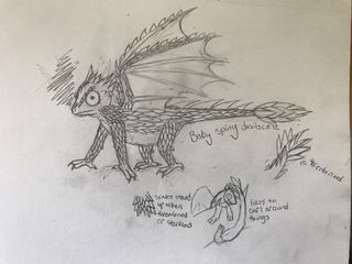 320x240 Babydragon Drawings On Paigeeworld. Pictures Of Babydragon - Baby Dragon Sketch