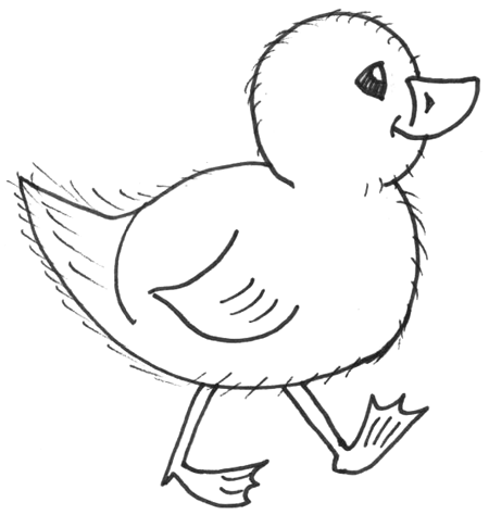 450x474 How To Draw Chicks Drawing Cartoon Baby Chicks In Easy Steps - Baby Duck Sketch