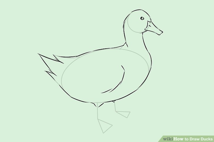 728x485 How To Draw Ducks (With Pictures) - Baby Duck Sketch