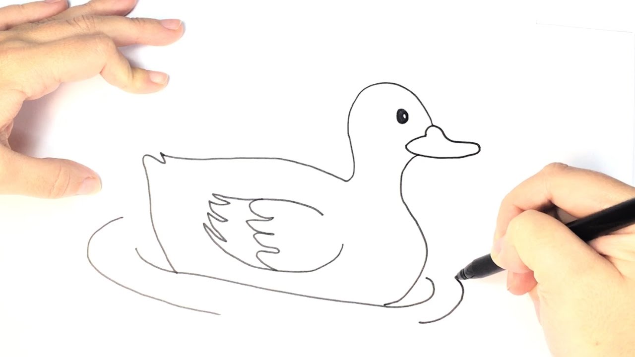 1280x720 How To Draw A Duck For Kids - Baby Duck Sketch