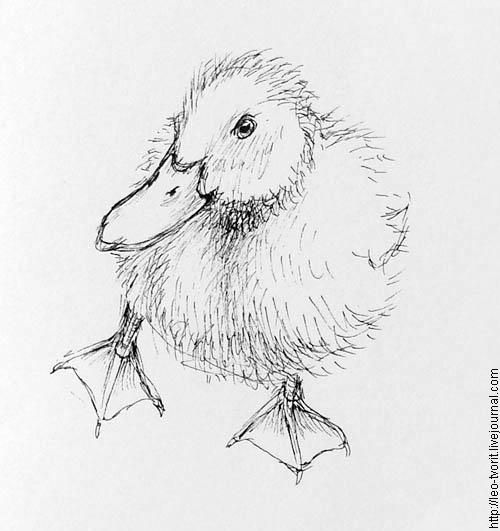 500x531 Risuem Vmeste! Duck Tats Drawings, Art And Pencil Art - Baby Duck Sketch