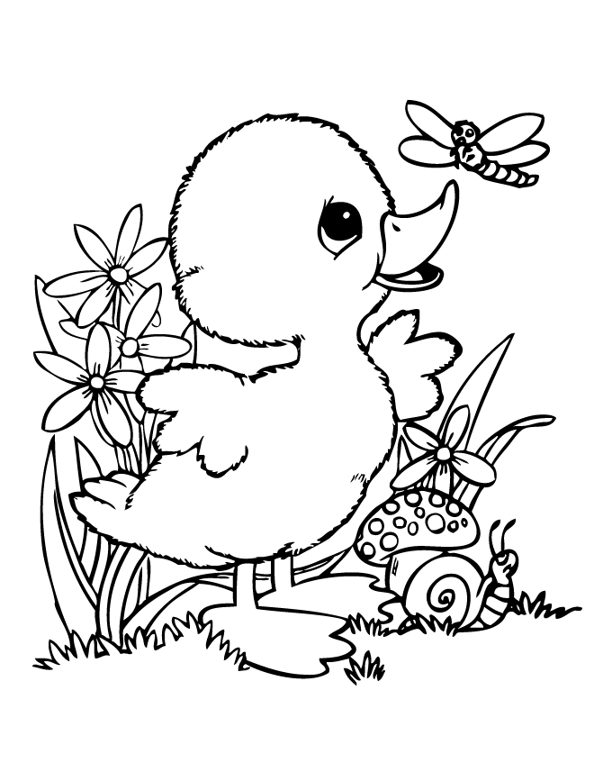 670x867 Cute Baby Duck Coloring Pages - Baby Duck Sketch