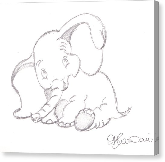 546x534 Baby Sketch Canvas Prints - Baby Dumbo Sketch