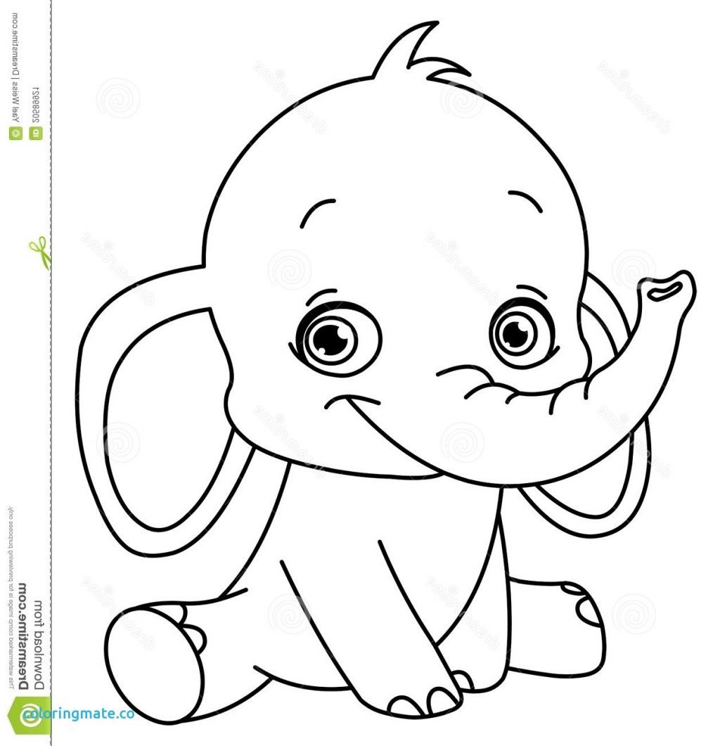 1024x1061 Captivating Baby Elephant Coloring Pictures Pages Unique Cute - Baby Elephant Sketch