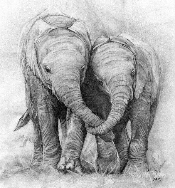 596x640 Drawn Elephant Love Drawing - Baby Elephant Sketch