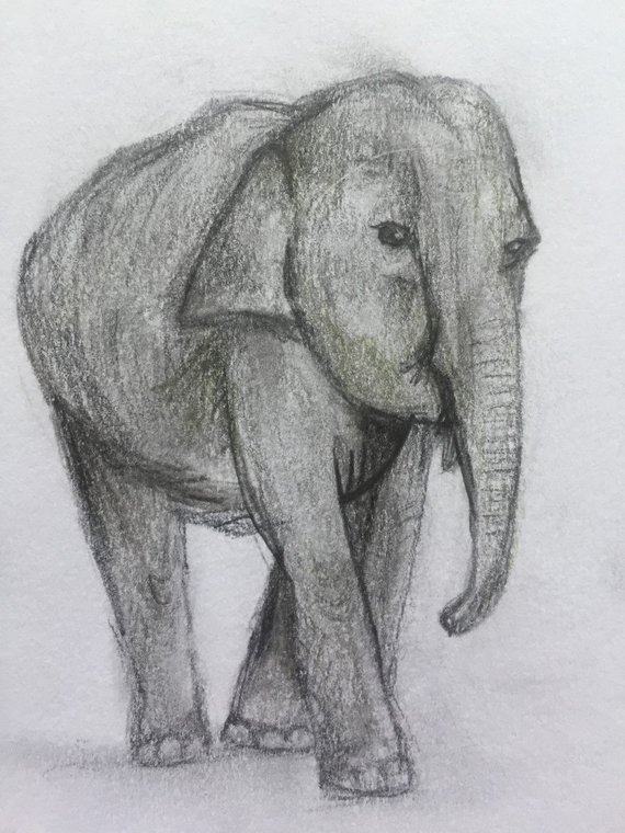570x760 Original 4x6 Baby Elephant Sketch Etsy - Baby Elephant Sketch