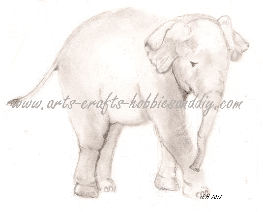 535x431 Baby Elephant Drawing 44 Impressive Baby Elephant Sketch Animal - Baby Elephant Sketch