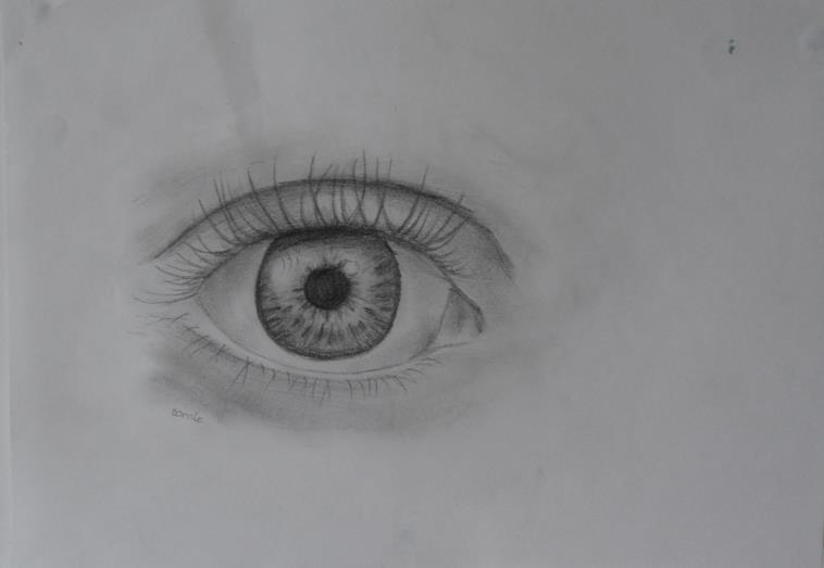 758x523 Sketch Life Of Bonnie - Baby Eyes Sketch