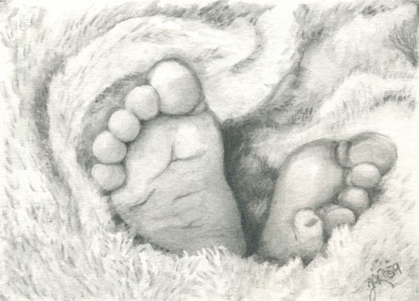 600x431 Baby Feet By Tracey Riedel - Baby Feet Sketch