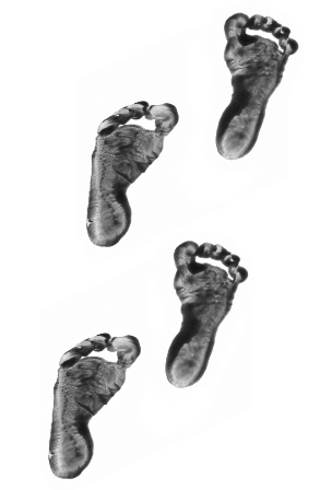 293x448 Can Med Healthcare Medical Amp Surgical - Baby Footprint Sketch