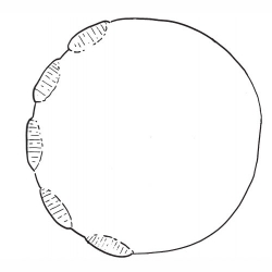 250x250 Elephant Foot Howtosmile - Baby Footprint Sketch