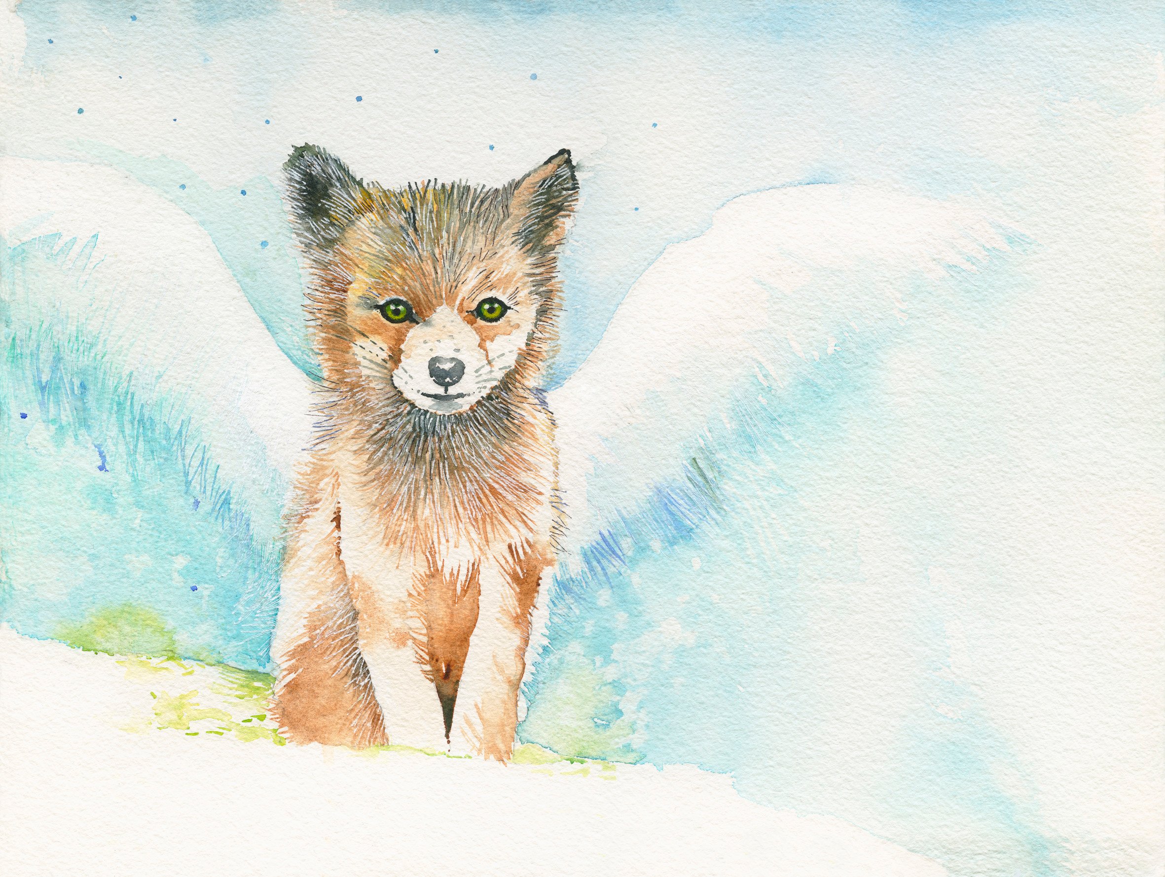 2362x1778 Sketchartanddesign Benji The Baby Fox...lil Sweetie Series - Baby Fox Sketch