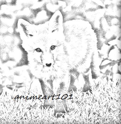 401x410 Baby Fox Sketch By Animeart101 - Baby Fox Sketch