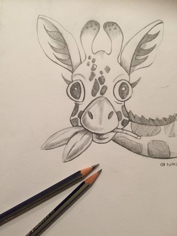 570x760 Baby Giraffe Sketch Print, Giraffe Pencil Sketch Illustration - Baby Giraffe Sketch