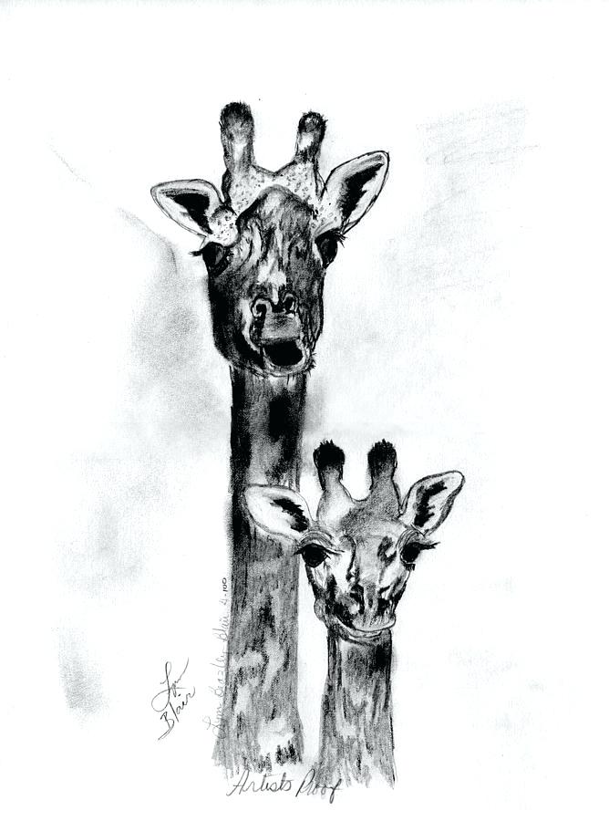 668x900 Giraffe Mom And Baby Print Charliejames - Baby Giraffe Sketch