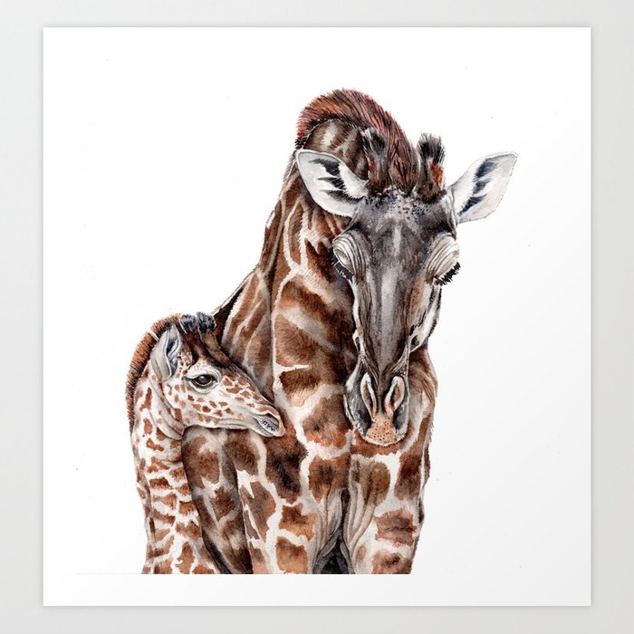 700x700 Giraffe With Baby Giraffe Art Print By Evgeniya Society6 - Baby Giraffe Sketch
