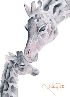 236x325 Giraffe Drawing - Baby Giraffe Sketch