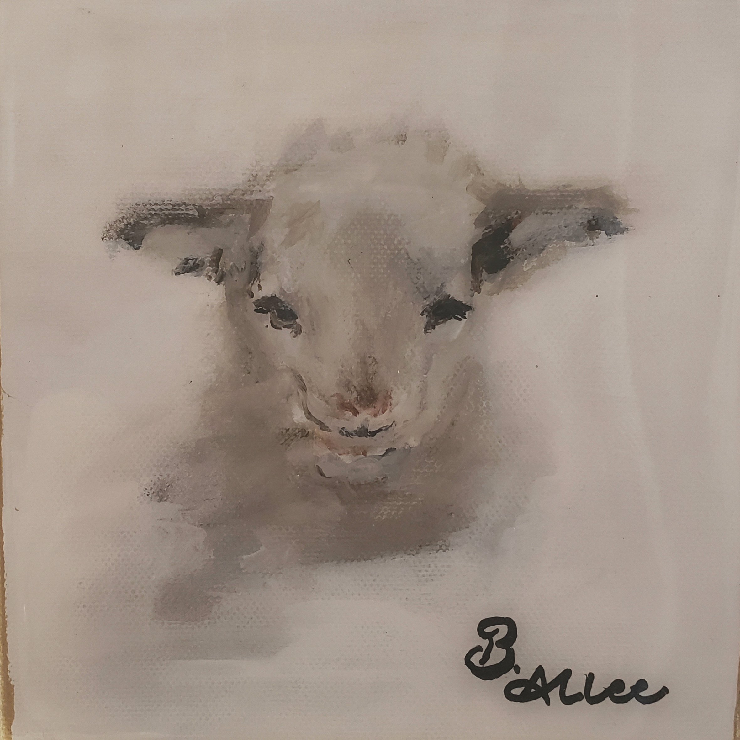 2360x2360 Beth Allee 6x6 Baby Lamb 318 Art And Garden - Baby Lamb Sketch